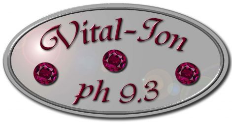 vital-logo1.jpg